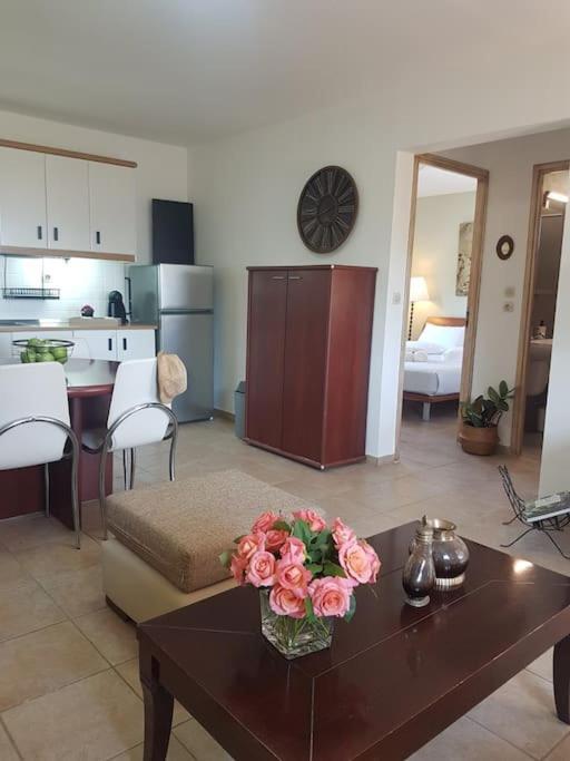 Amalthia Villa Sitia  Dış mekan fotoğraf