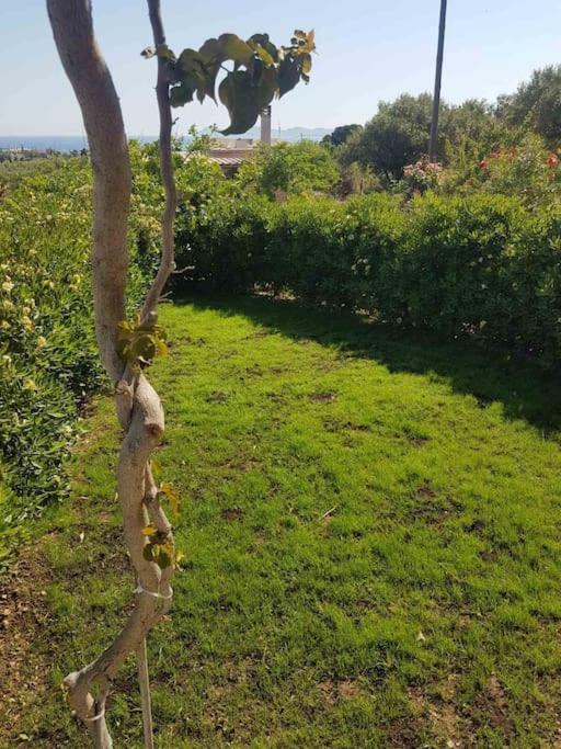 Amalthia Villa Sitia  Dış mekan fotoğraf