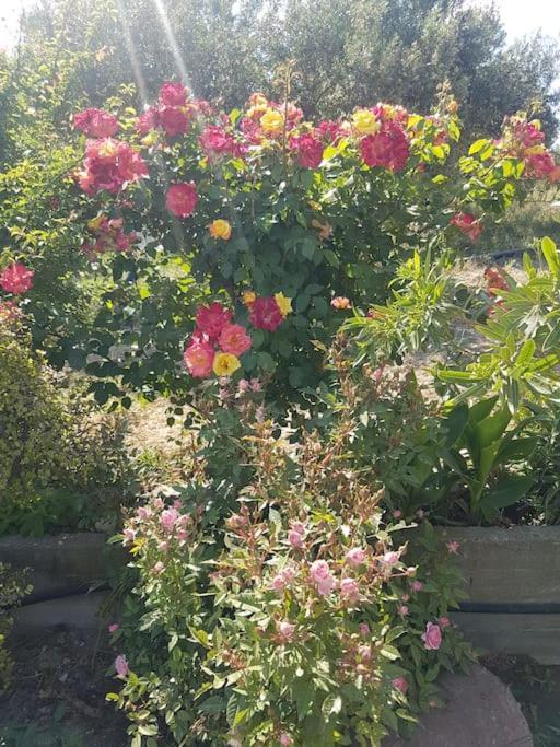 Amalthia Villa Sitia  Dış mekan fotoğraf